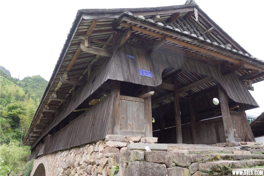 DSC01165_.jpg