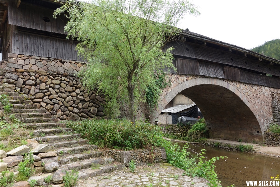 DSC01162_1.jpg