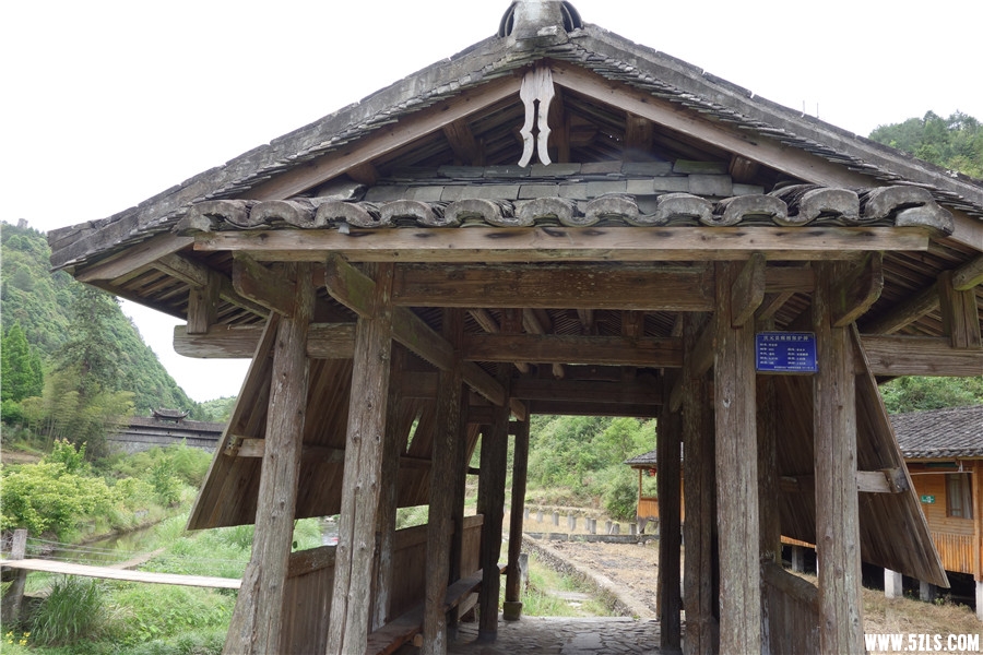 DSC01123_.jpg