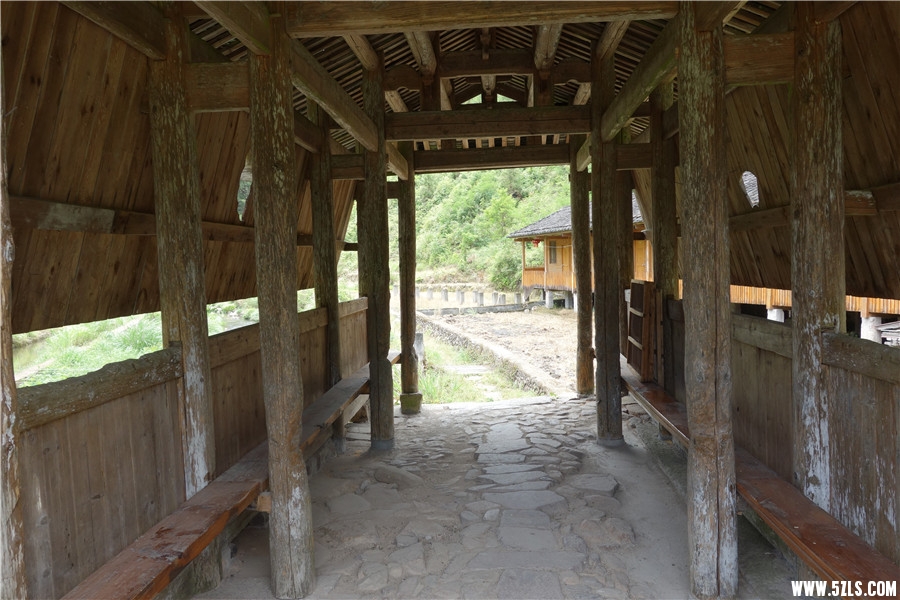 DSC01124_4.jpg