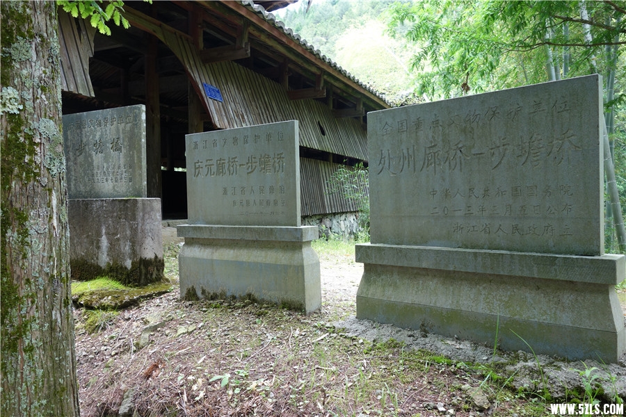 DSC01094_.jpg