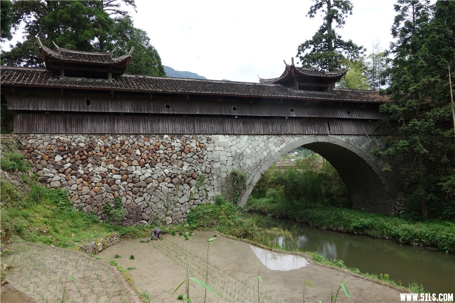 DSC01100.jpg