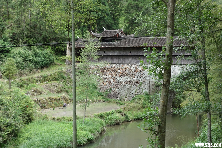 DSC01112_4.jpg