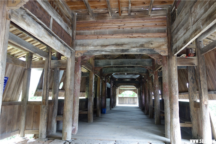 DSC01078_1.jpg