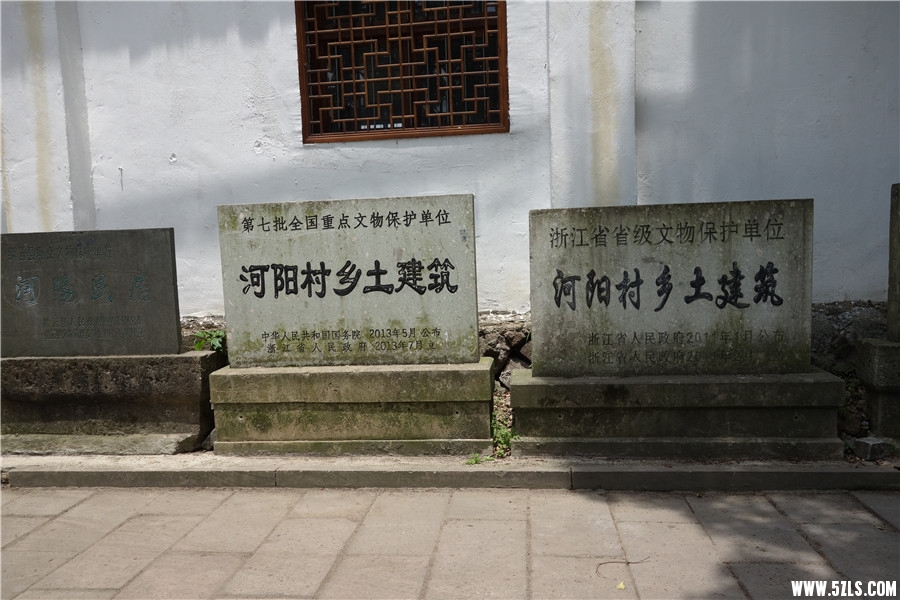 DSC00650.jpg