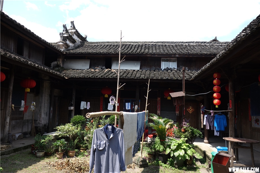 DSC00595.jpg