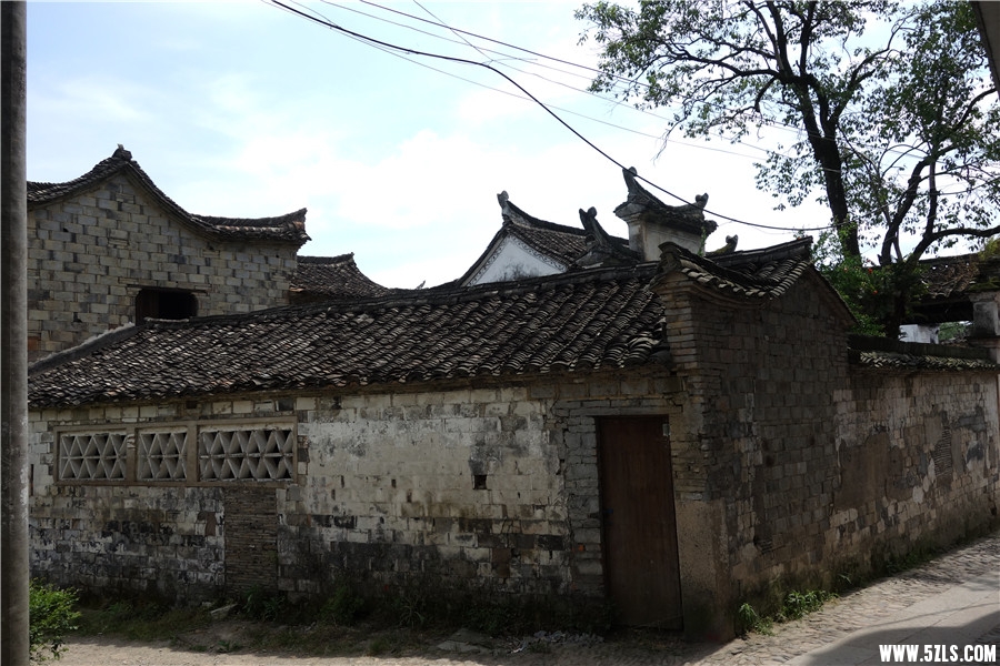 DSC00607.jpg