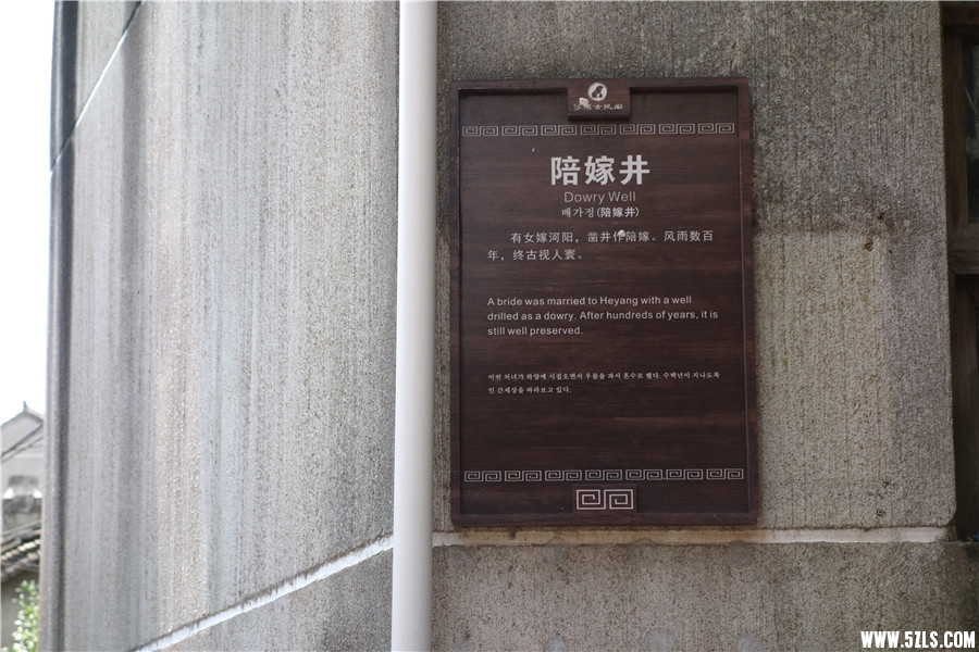 DSC00634.jpg