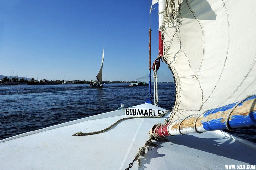 _DSC0452__.jpg