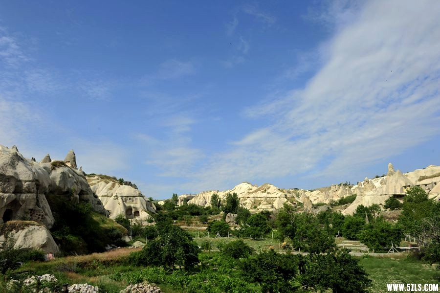 _DSC4294__.jpg
