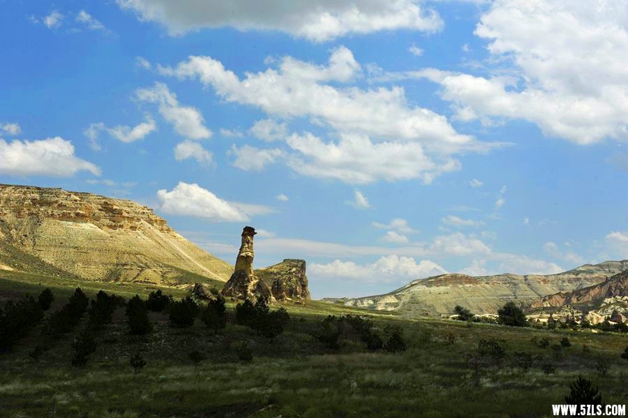 _DSC4529__.jpg