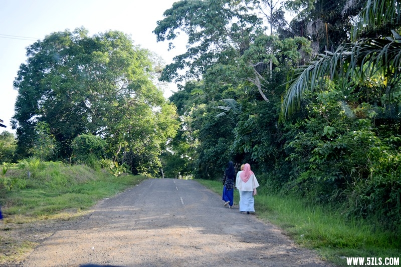DSC_7062.JPG