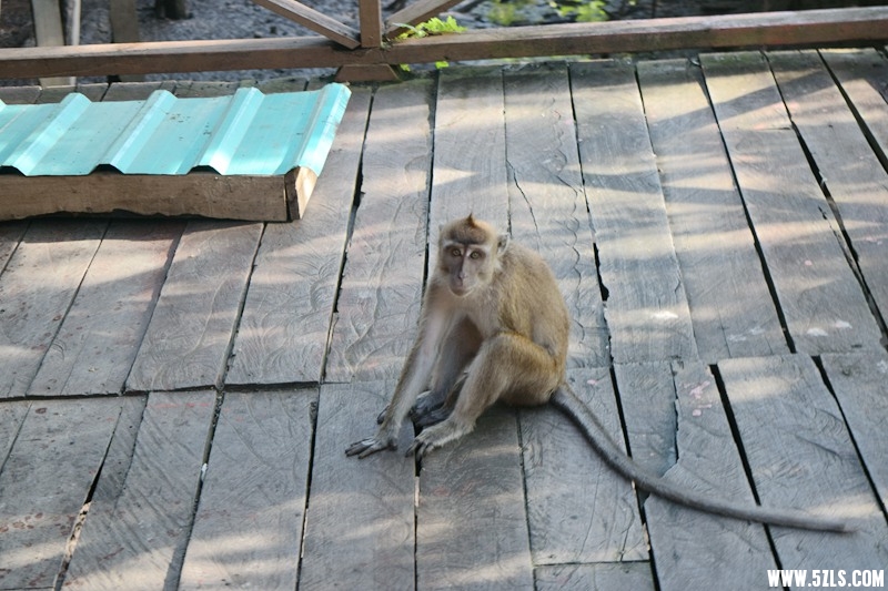 DSC_7092.JPG