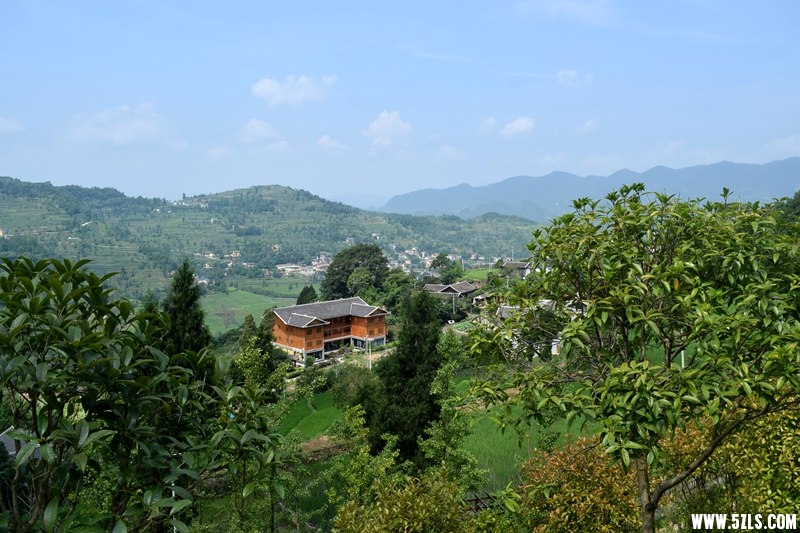 DSC_7755.JPG