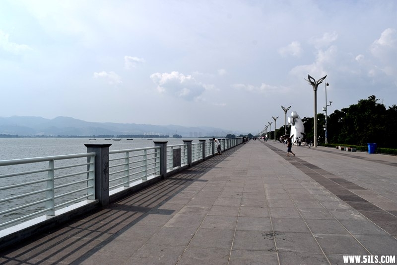 DSC_7891.JPG