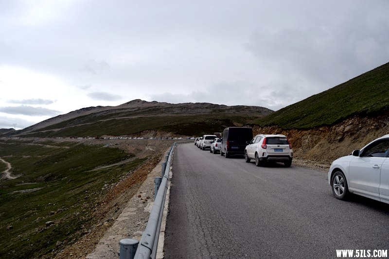 DSC_8326.JPG