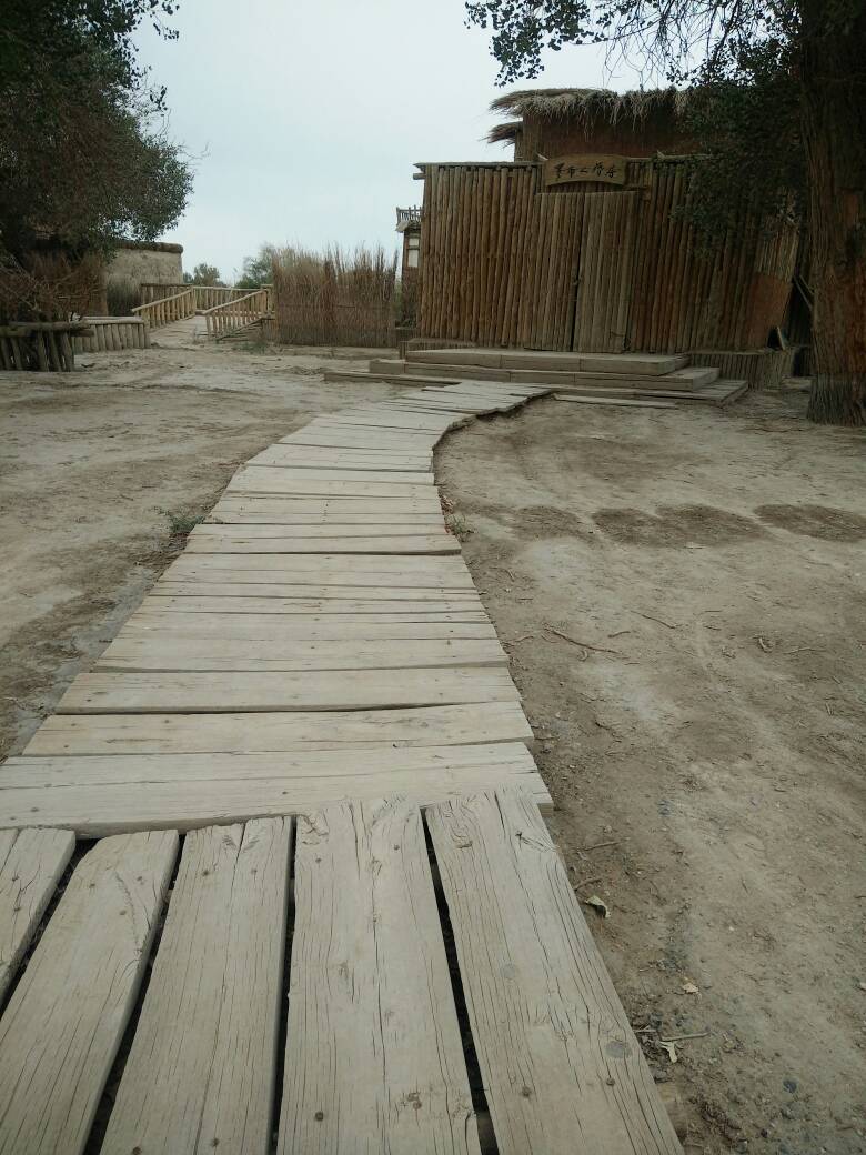 112612cbc7h8eo07eg2hek.jpg