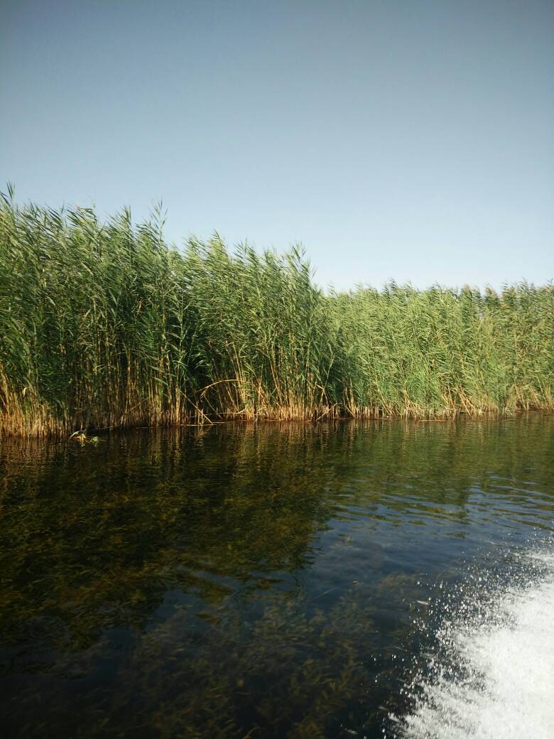 112636avzxwzkgpgbeccwb.jpg
