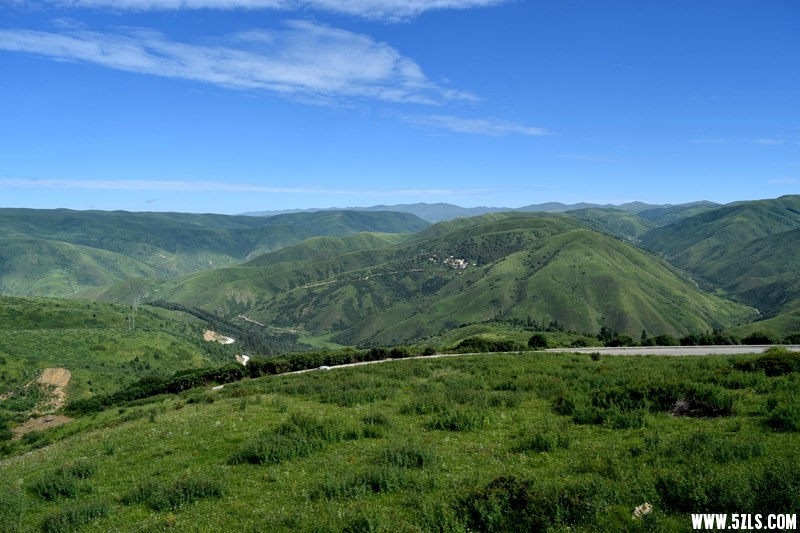 DSC_9267.JPG