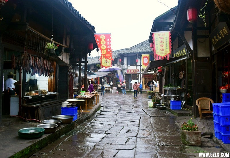 DSC_1017.JPG