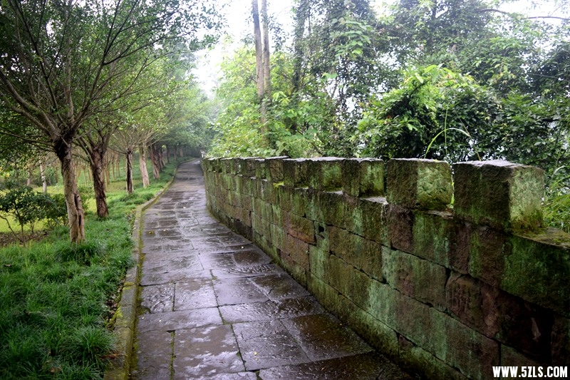 DSC_1033.JPG