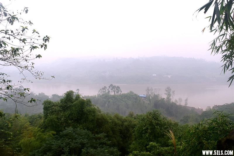 DSC_1037.JPG