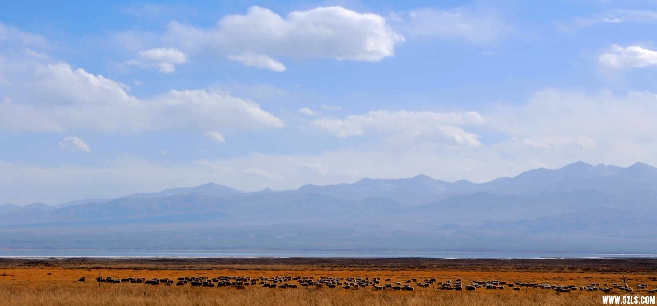 DSC_0680.jpg