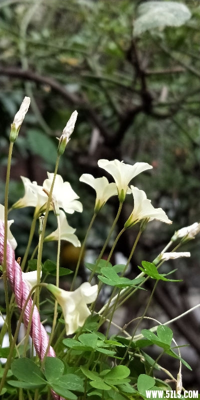 IMG20181128145249.jpg