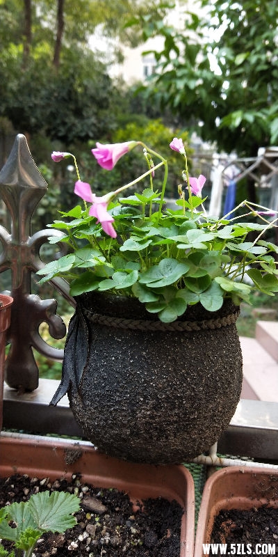 IMG20181126120624.jpg