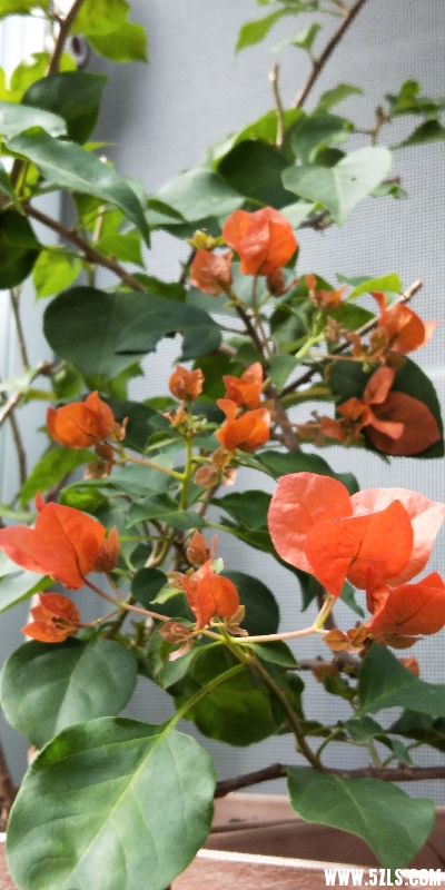 IMG20181101152401.jpg