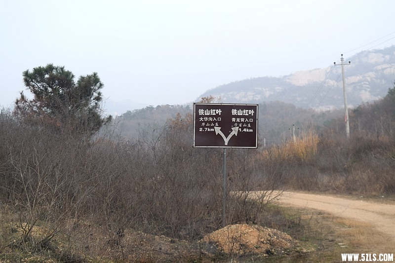 DSC_1458.JPG