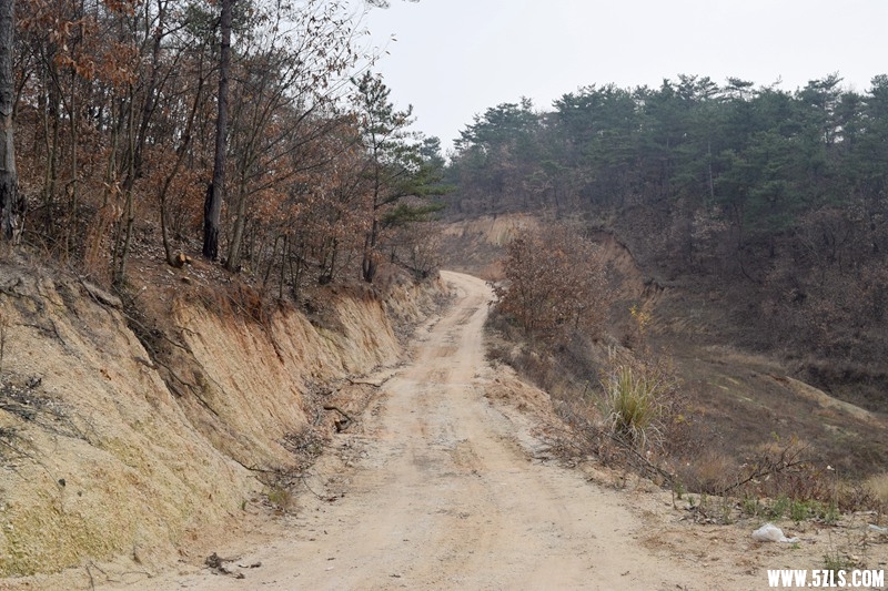DSC_1465.JPG