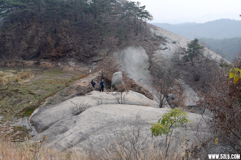 DSC_1469.JPG
