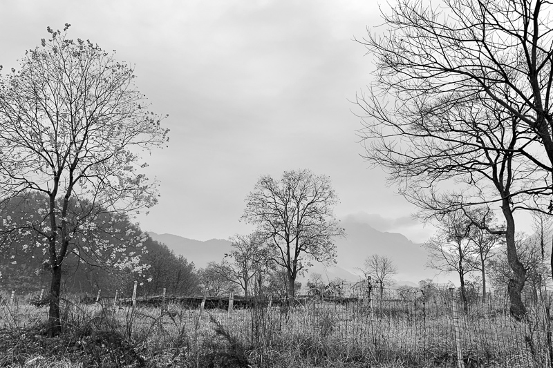ڰ-37.jpg