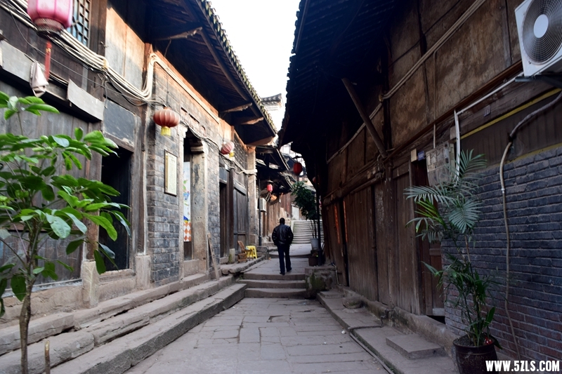 DSC_2109.JPG