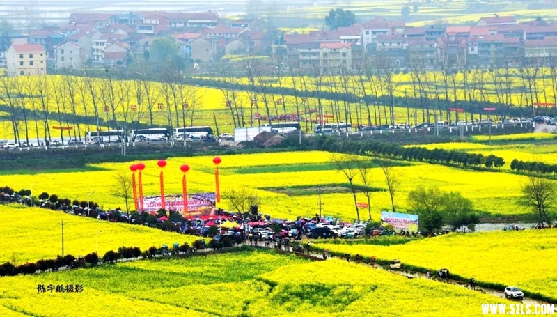 干沙畈油菜花观赏 点.JPG