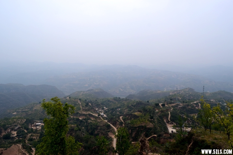 DSC_3768.JPG