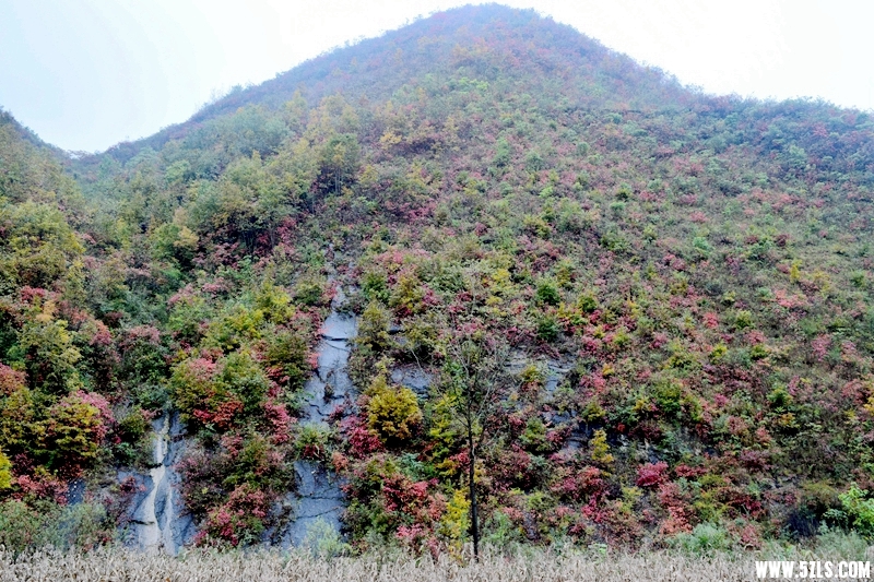 DSC_4120.JPG