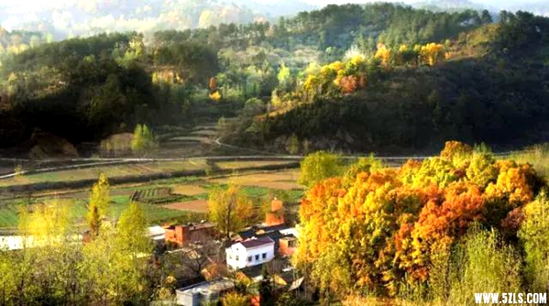 千斤乡杨高山村.jpg