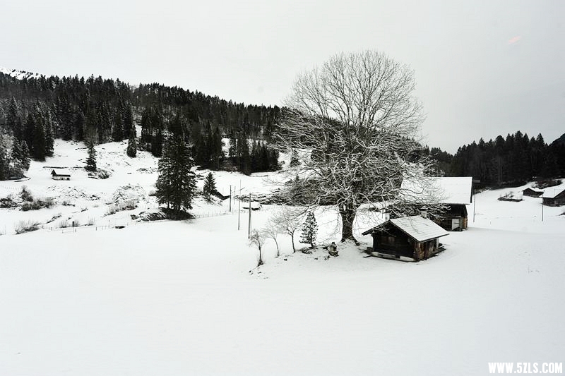 _DSC4464__.jpg