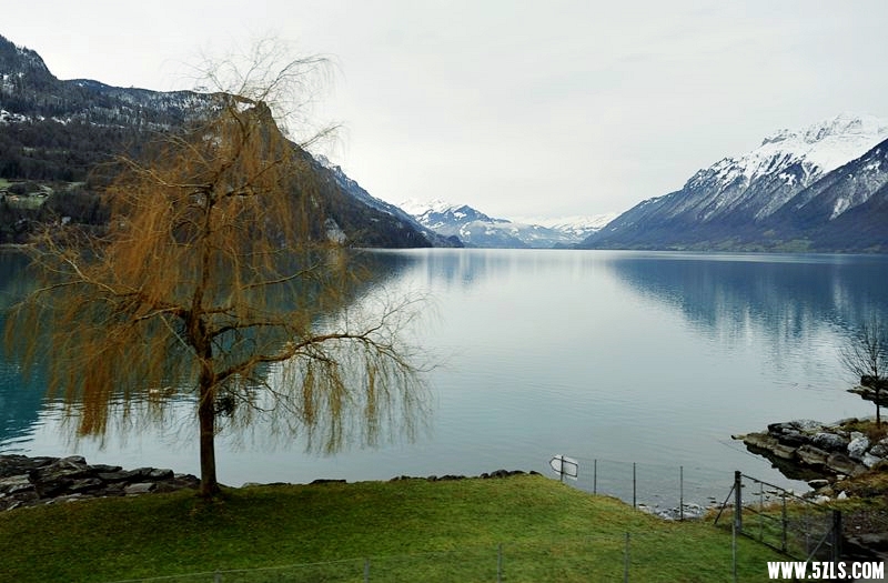 _DSC4513__.jpg