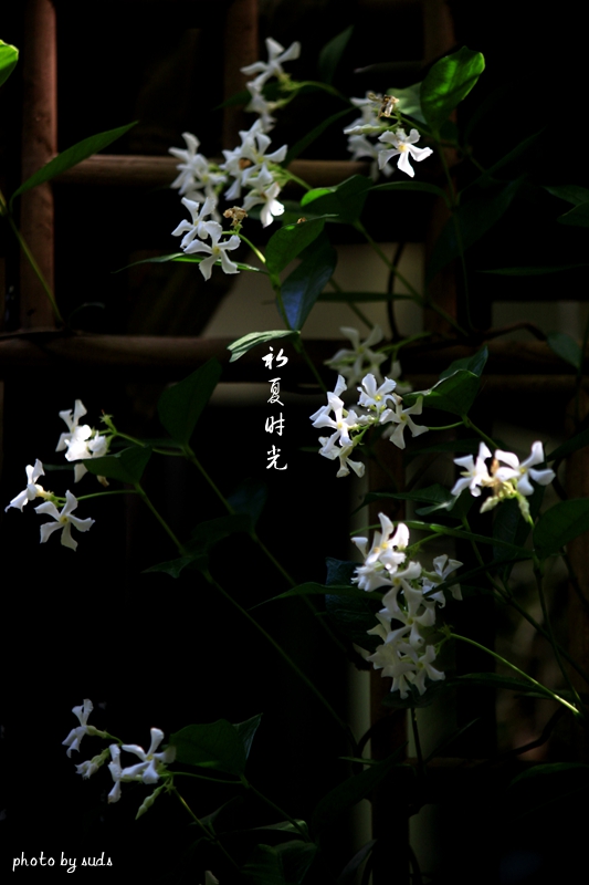 _MG_1404_副本.jpg