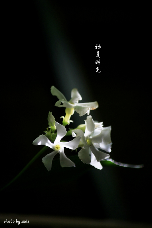 _MG_1407_副本.jpg