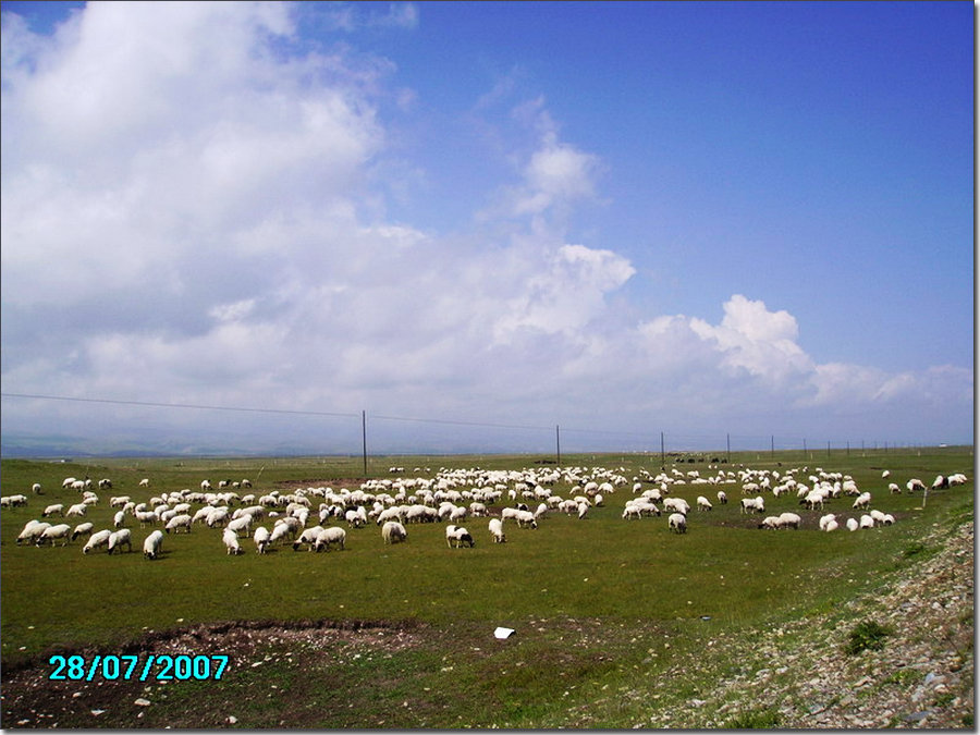 欢迎归来 288.jpg