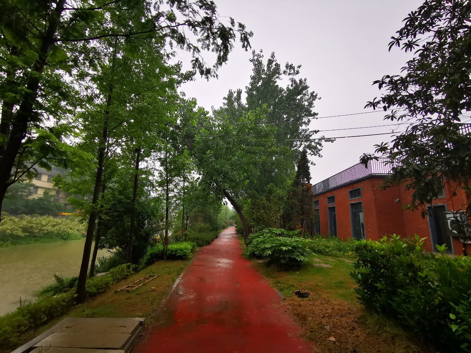 IMG_20200529_093557.jpg