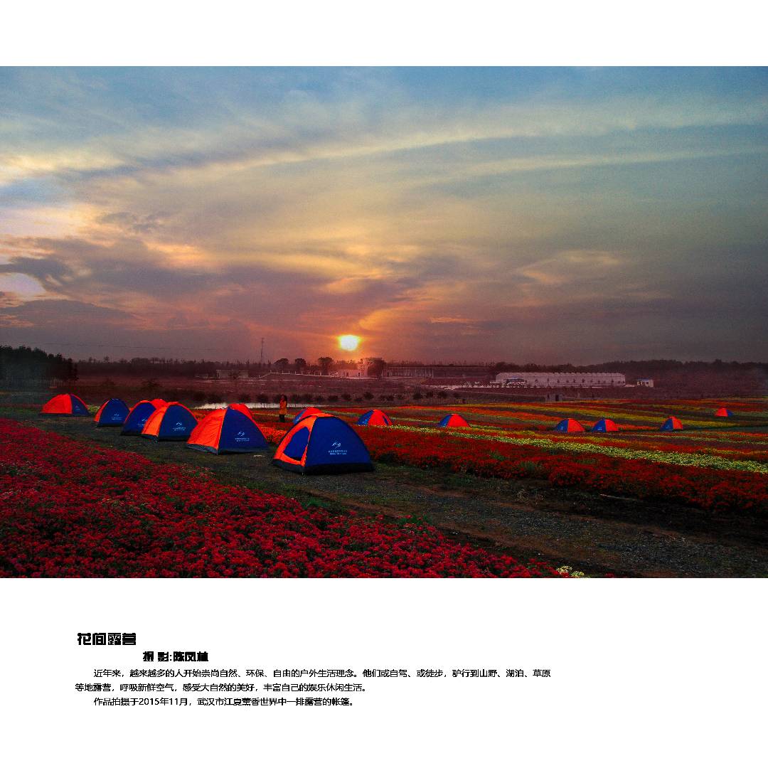 花间露营.jpg
