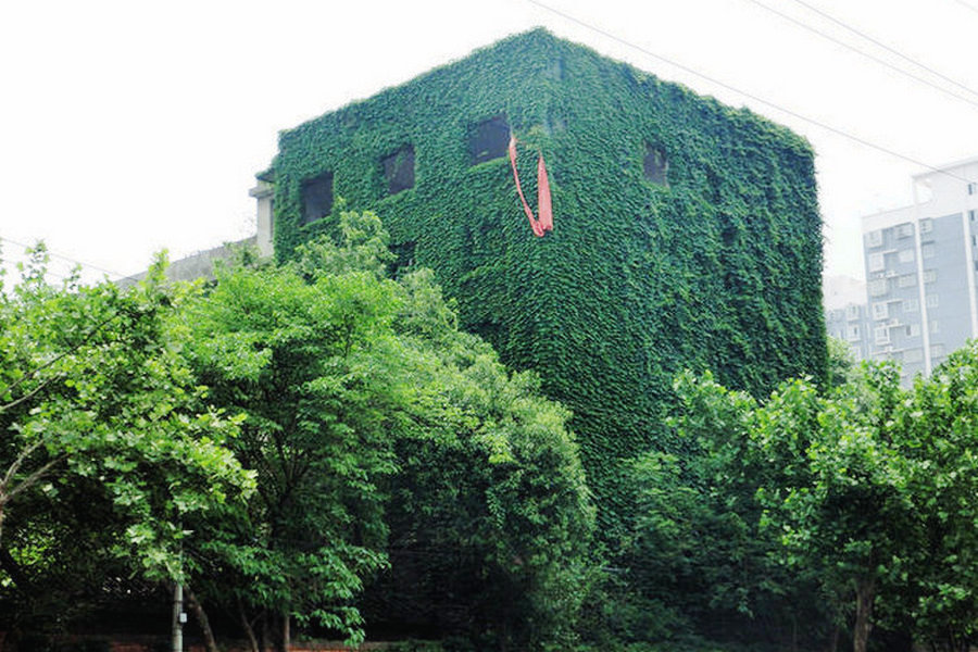 CIMG0705.JPG