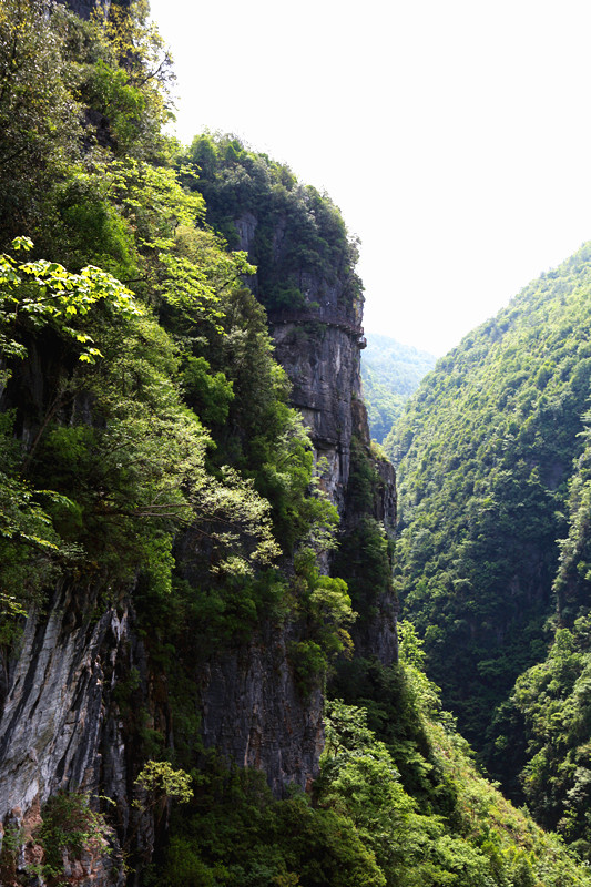 IMG_3621_副本.jpg