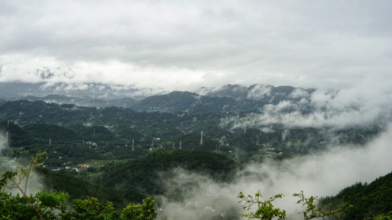 DSC01819.jpg