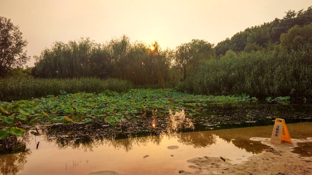 IMG_20190710_183849_HDR_鍓湰.jpg